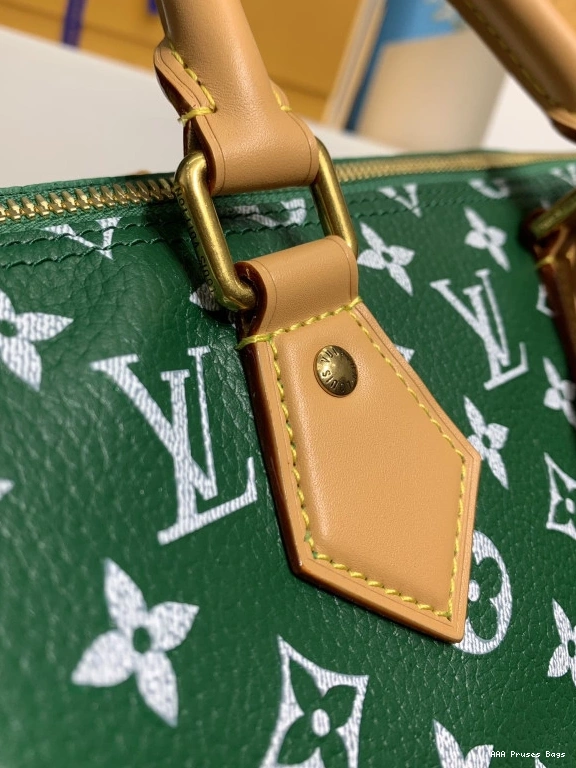 AAA Pruses Bags 25 Vuitton SPEEDY Louis 0730